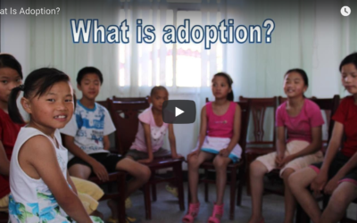 WHAT IS ADOPTION?
