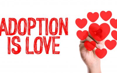Are All Adoption Agencies the Same?
