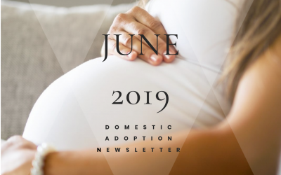 The Building Arizona Families Domestic Adoption June 2019 Newsletter