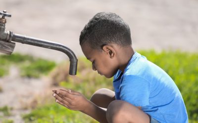 Growing Your Forever Family by Adopting Children From Haiti