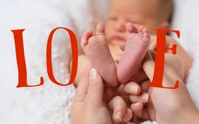 The BAF Domestic Adoption February 2022 Newsletter