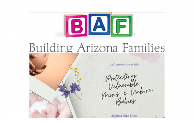 The BAF Domestic Adoption May 2022 Newsletter