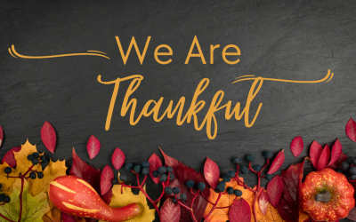 The Building Arizona Families Domestic Adoption November 2023 Newsletter