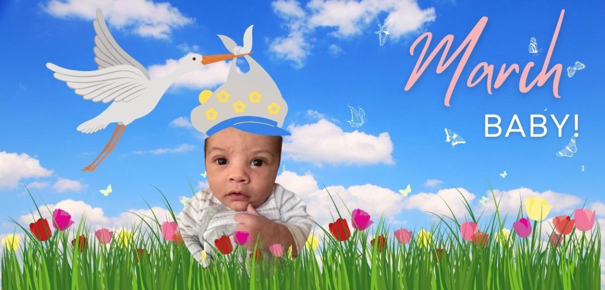 I Would Like to Adopt a Child