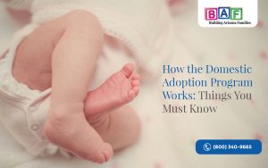 Domestic Adoption Program