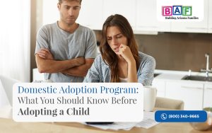 Domestic Adoption Program