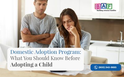 Domestic Adoption Program: What You Should Know Before Adopting a Child