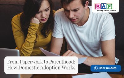 From Paperwork to Parenthood: How Domestic Adoption Works