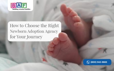How to Choose the Right Newborn Adoption Agency for Your Journey