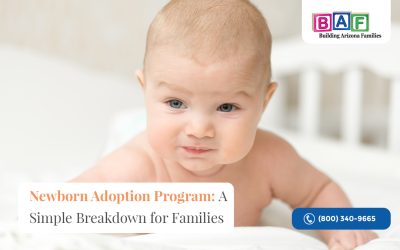 Newborn Adoption Program: A Simple Breakdown for Families