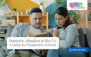 Domestic adoption in the US