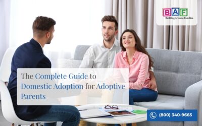 The Complete Guide to Domestic Adoption for Adoptive Parents