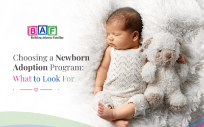 Choosing a Newborn Adoption Program: What to Look For